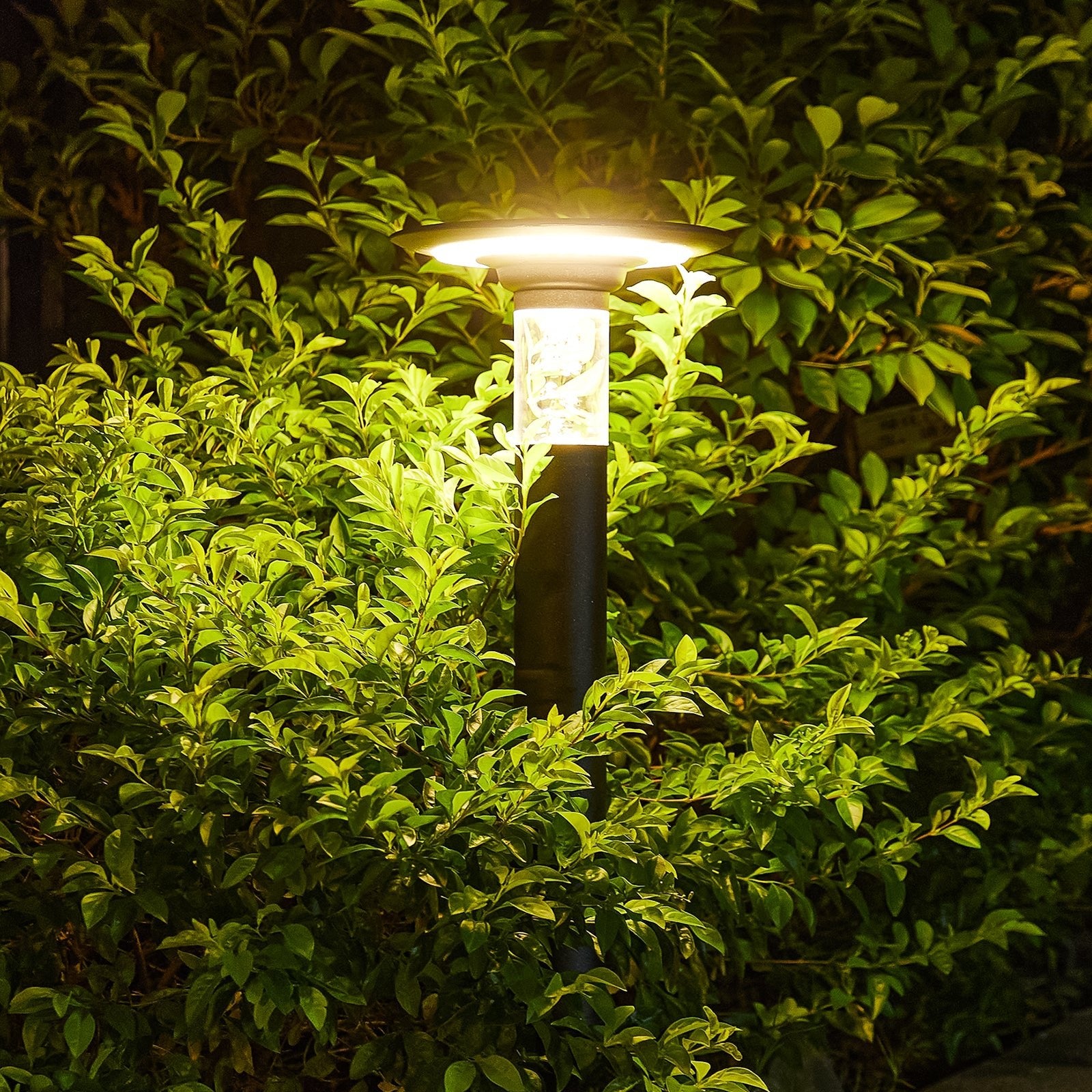 Solar Lawn Light With Dimmable LED - evoltleds